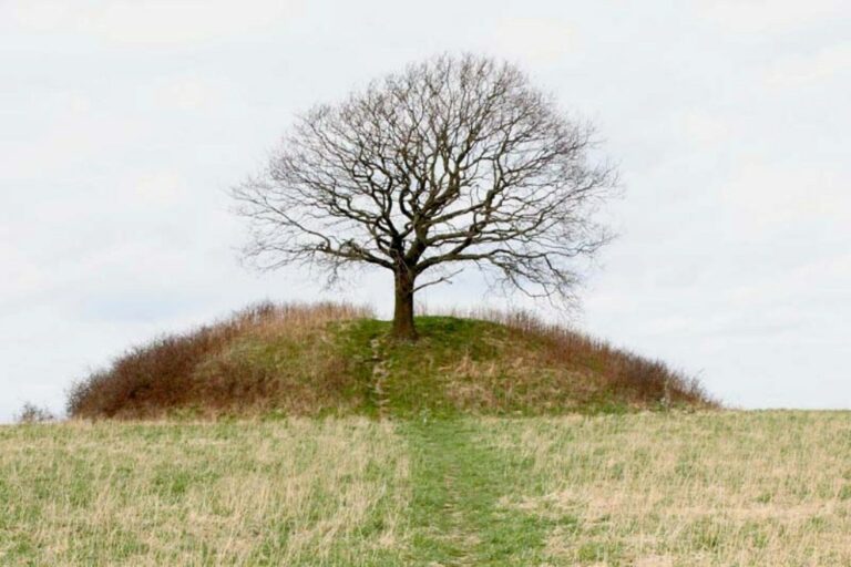 Posvátný strom stále zdobí mohylu z doby bronzové v dánském Roskilde. Zdroj foto: Ultramandk, CC BY 1.0 , via Wikimedia Commons