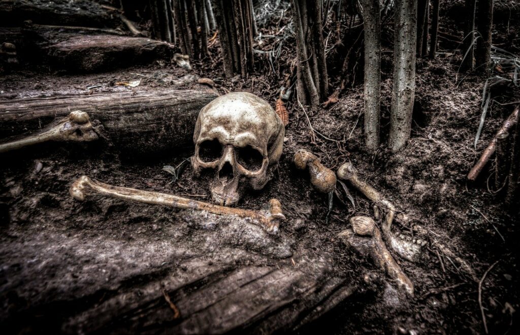 Lidské ostatky nalezené poblíž nepatřily zmizelému muži, foto Pixabay
