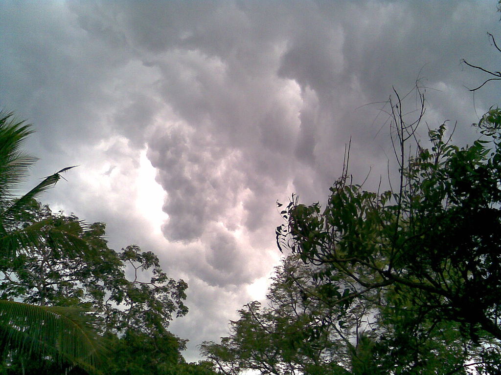 Odkud padal krvavý dešť na stát Kerala? Z krvavých mraků? Zdroj foto: Binoyjsdk, Public domain, via Wikimedia Commons