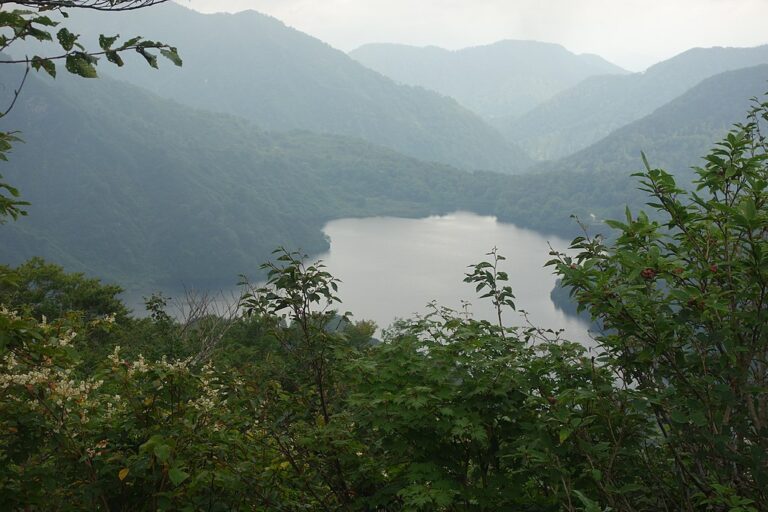 Jezero Otori-ike. Zdroj foto: Koda6029, CC BY-SA 4.0 <https://creativecommons.org/licenses/by-sa/4.0>, via Wikimedia Commons
