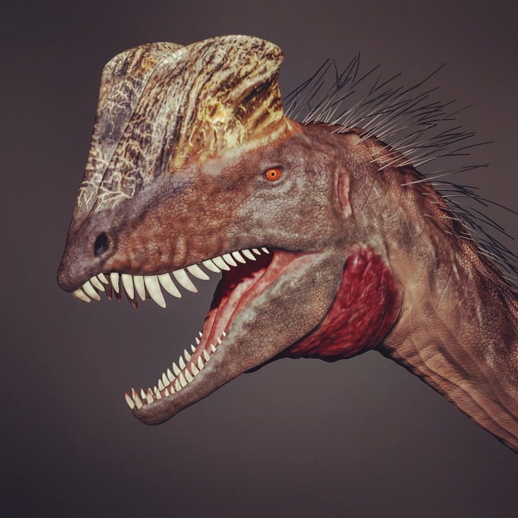 Podle vědců Dilophosaurus disponoval jakýmisi vzduchovými kapsami v kostech, jež u ptáků slouží třeba k vydávání zvuků, rozptylování tepla nebo k pohybu kůže, určenému k namlouvacím rituálům. Foto: HFoxii / Creative Commons / CC-BY-SA-4.0 