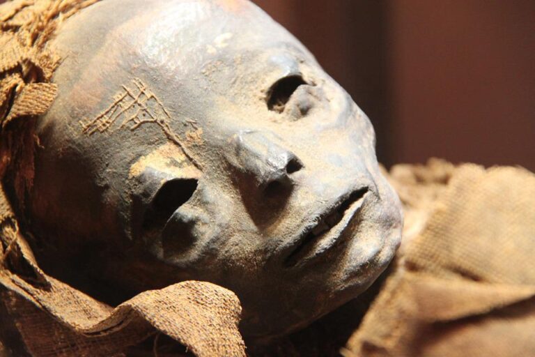 Mumie je mrtvé tělo člověka nebo zvířete, které bylo zachováno buď přirozeně nebo uměle. Foto: Pixabay