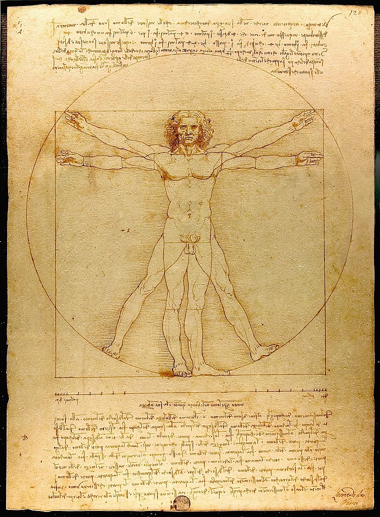 Vitruviánský muž. Slavná kresba Leonarda da Vinciho. Zdroj obrázku:  Leonardo da Vinci, Public domain, via Wikimedia Commons