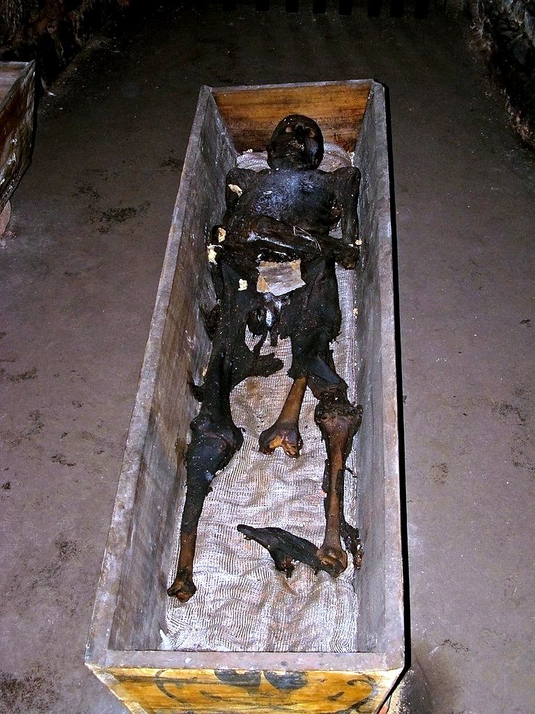 Jedna z mumií v broumovském klášterním sklepení. Zdroj foto:   Daniel Baránek, CC BY-SA 3.0 , via Wikimedia Commons