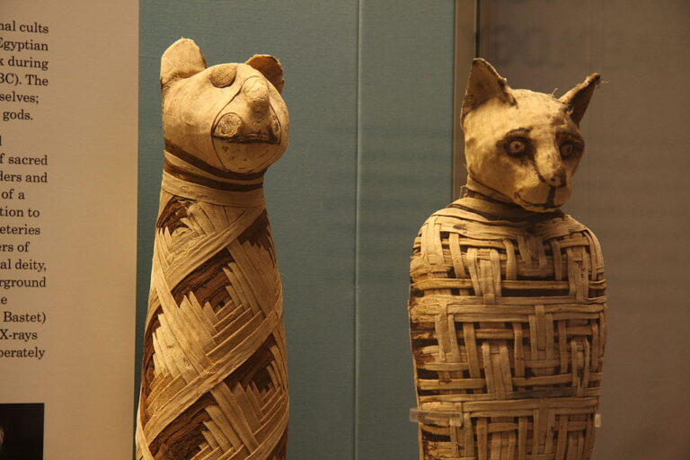 O možných kletbách ze strany zvířecích mumií nejsou relevantní informace. Zdroj foto: Mario Sánchez, CC BY-SA 2.0 <https://creativecommons.org/licenses/by-sa/2.0>, via Wikimedia Commons
