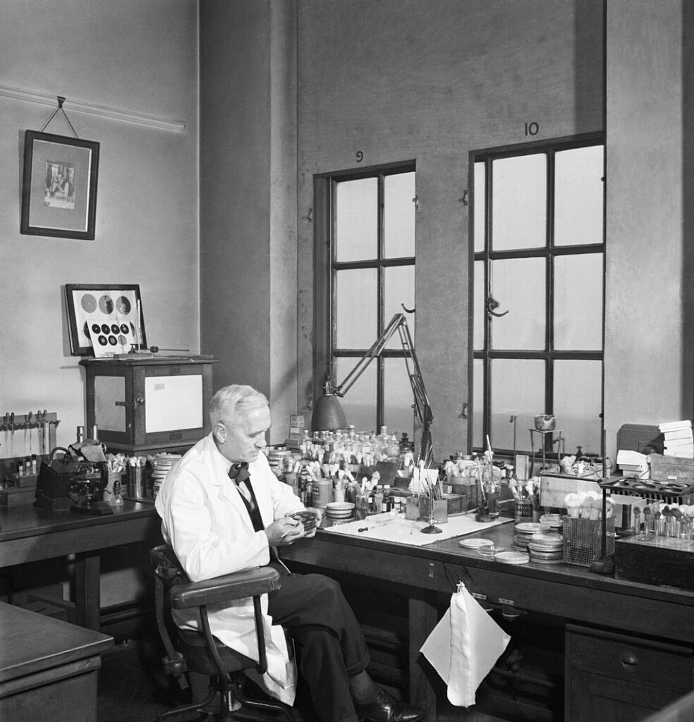 Alexander Fleming ve své laboratoři, foto Ministry of Information Photo Division Photographer / Creative Commons / Volné dílo