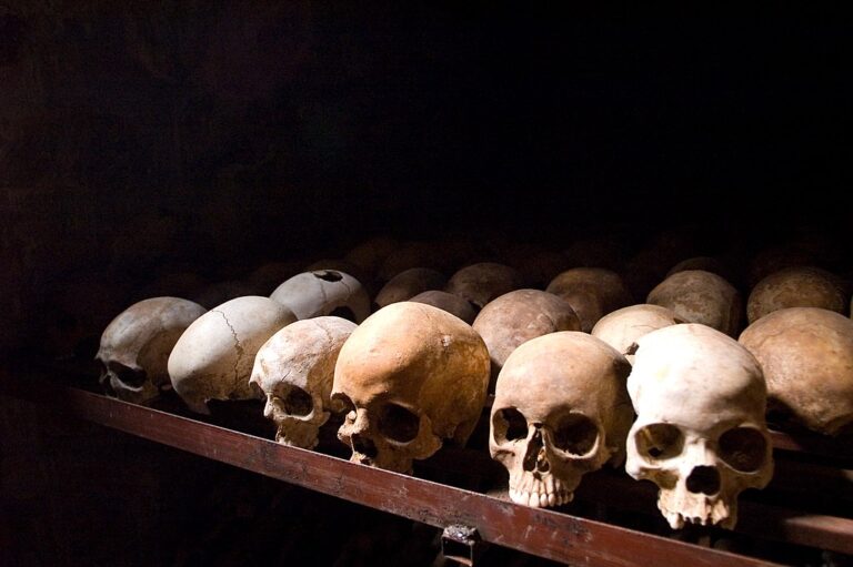 Podle zpráv OSN měla genocida v africké Rwandě osm set tisíc obětí. Za pouhé tři měsíce… Zdroj foto: I, Inisheer, CC BY-SA 3.0 , via Wikimedia Commons