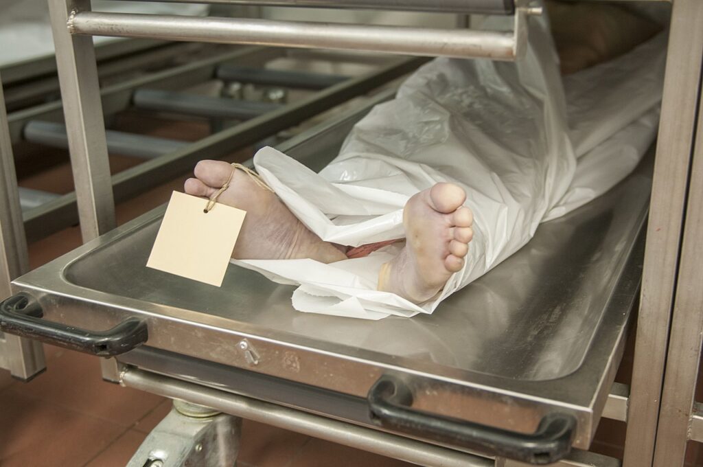 Vyšetřování poukázalo na nevhodné zacházení s těly v pohřebním ústavu, foto Ralf Roletschek / Creative Commons / FAL 