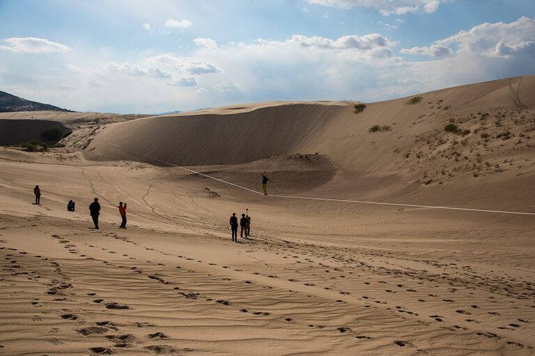 Poušť Gobi je místem, kde lidé od pradávna nalézali fosilie dinosaurů. Zdroj foto. AlexSchulz91, CC BY-SA 4.0 <https://creativecommons.org/licenses/by-sa/4.0>, via Wikimedia Commons