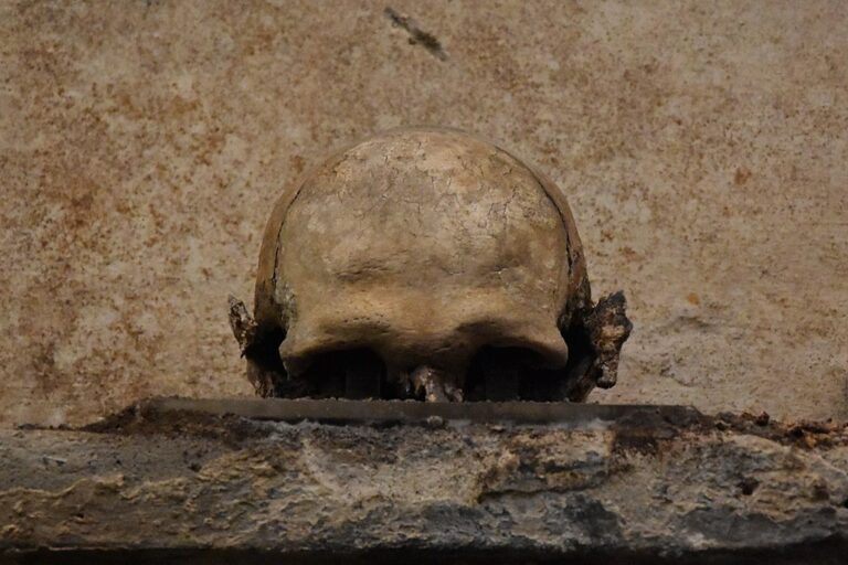 „Ušatá lebka“ slyší prý dobře modlitby a tajná přání. Lékař z ORL by asi nesouhlasil… Zdroj foto: Phyrexian, CC BY-SA 4.0 , via Wikimedia Commons