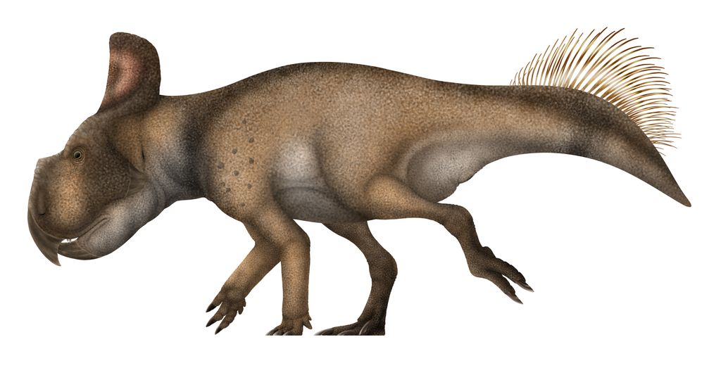 Inspiraci pro gryfa měly poskytnout fosilní pozůstatky dinosaura rodu Protoceraptos. Zdroj obrázku: PaleoNeolitic, CC BY 4.0 , via Wikimedia Commons