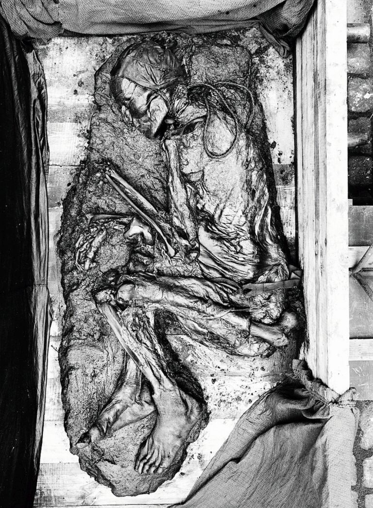 Bažinné mumie v Evropě