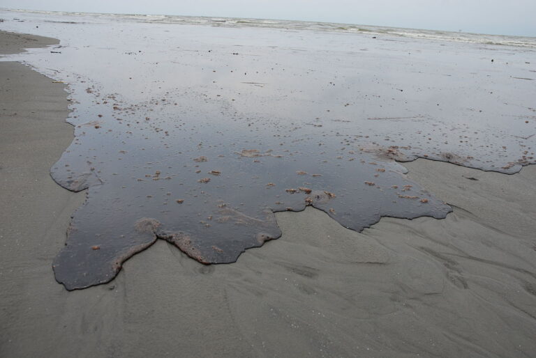Vrstva ropy na pláží v Louisianě, foto Louisiana GOHSEP / Creative Commons /CC BY-SA 2.0