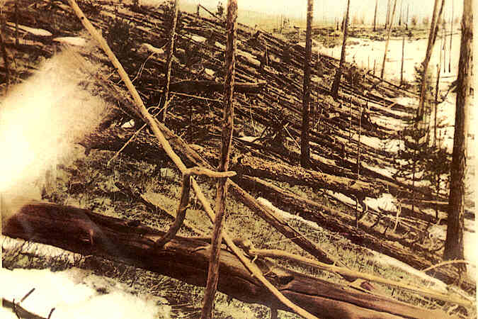 Zkáza lesa způsobená výbuchem, fotografie Kulikovy výpravy z roku 1927. FOTO: neznámý autor / Creative Commons / volné dílo