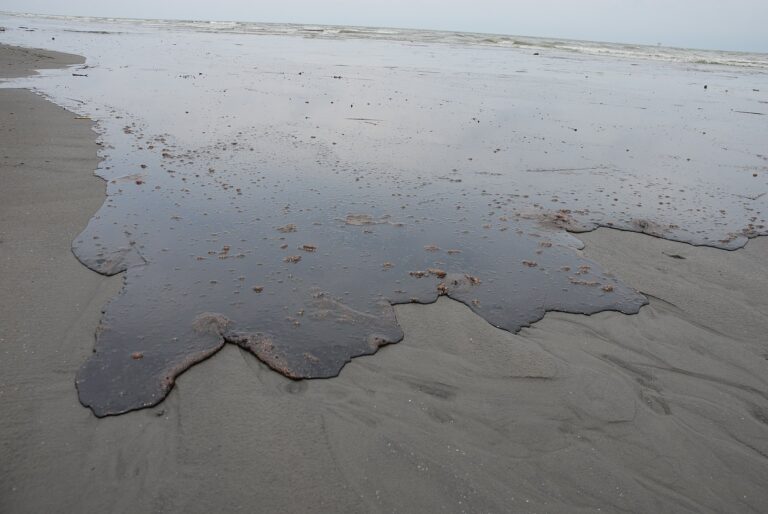 Hustá ropa má pro tamější přírodu zničující následky. FOTO: Louisiana GOHSEP / Creative Commons / CC BY-SA 2.0