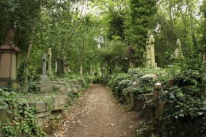 Upír z Highgate: Postrach nejděsivějšího londýnského hřbitova