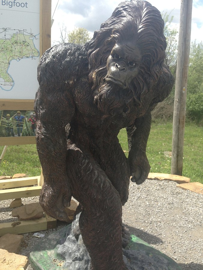 Jednou z mnoha záhad oblasti je údajná přitomnost Bigfoota. FOTO: Bloodyboppa, CC BY-SA 4.0 , via Wikimedia Commons