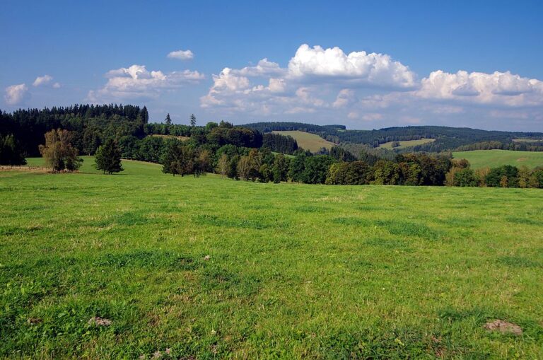 Slavkovský les je místem mnoha tajemství. Zdroj foto: Lubor Ferenc, CC BY-SA 4.0 , via Wikimedia Commons