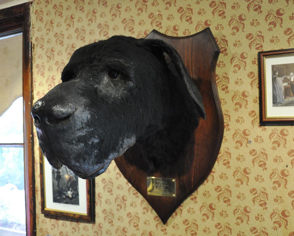 Pes baskervillský má svoje místo i v Muzeu Sherlocka Holmese. Zdroj foto: User:FA2010, Public domain, via Wikimedia Commons