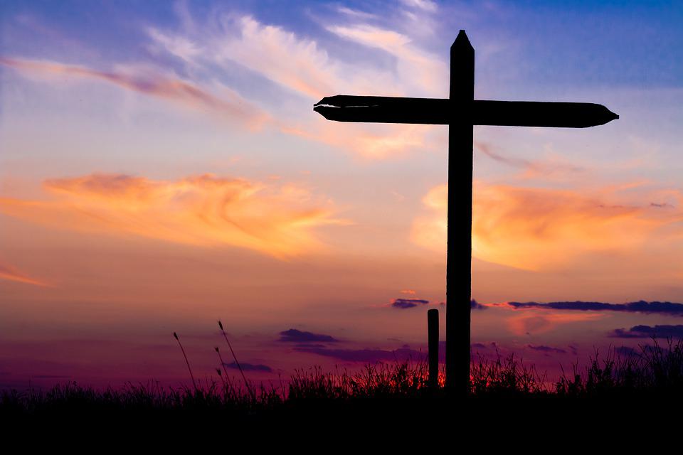Porovnání půdních vzorků z kříže a jeho okolí a analýza roslin v kříži nepřineslo kýžené výsledky. Foto: Pixabay