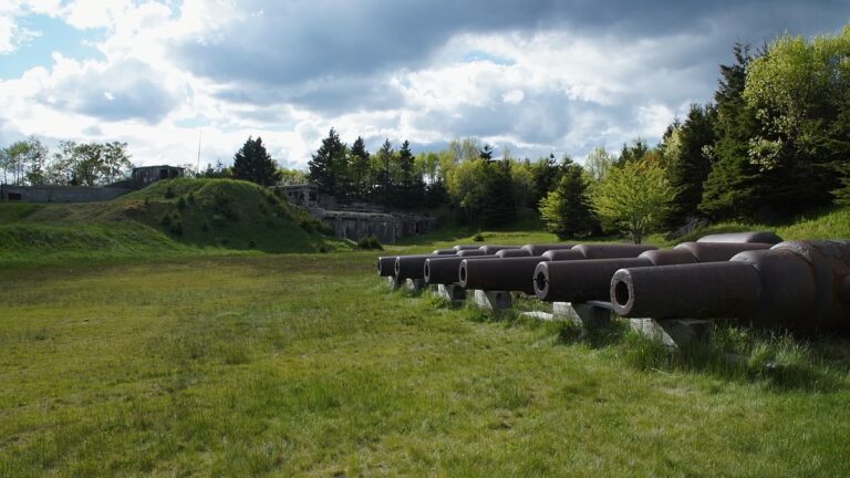 Ostrov McNabs obsahuje mnoho pevností patřících do „Halifaxského obranného komplexu“. Foto: Films Oiseau de nuit / Creative Commons / Hidden categories