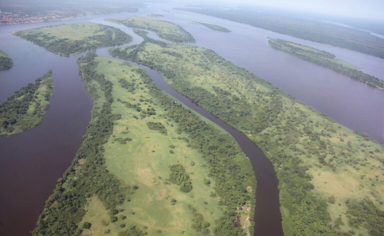 Mokele-mbembe bývá pozorován ve vodách řeky Kongo, foto MONUSCO/Myriam Asmani / Creative Commons / CC BY-SA 2.0