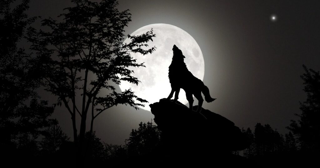 Garniner se prý měnil ve vlka pomocí d‘ábelské masti, foto Pixabay  