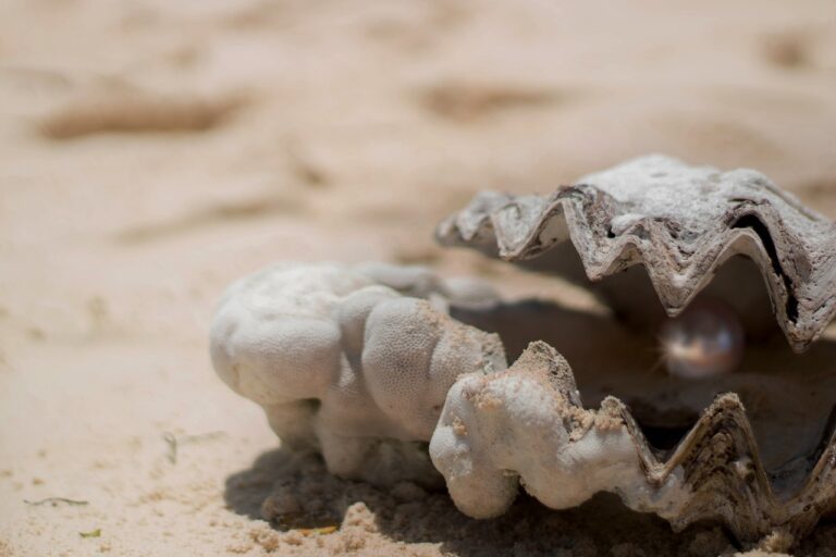 Poutnice byla nalezena na Perlových ostrovech, foto Pixabay