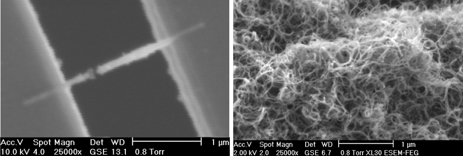 Nanotrubice mikrosnímek. FOTO: KristianMolhave / Creative Commons / CC BY 2.5