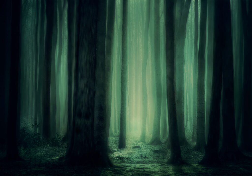 V lese lze občas spatřit záhadná světla, foto Pixabay