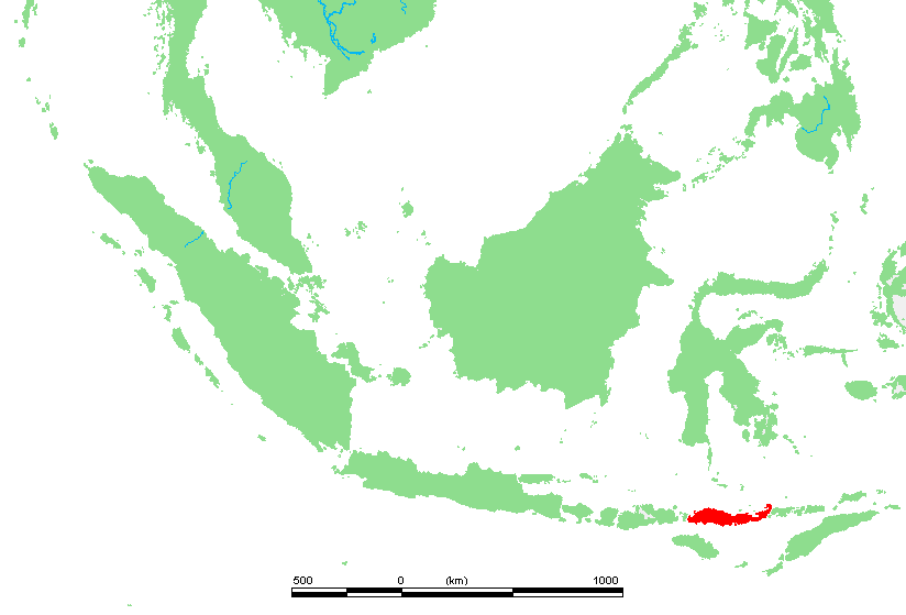 Ostrov Flores (červeně) na slepé mapě Indonésie. Zdroj obrázku:  edited by M.Minderhoud, Public domain, via Wikimedia Commons
