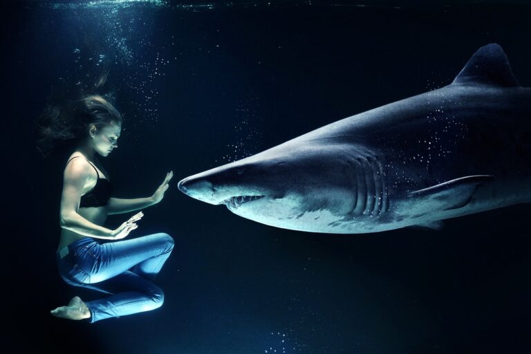 Hypnotizovat zvířata? Třeba žraloky? Vážně to jde? Foto: Pixabay