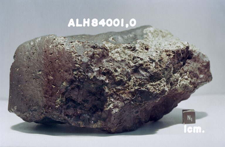 Slavný meteorit Allan Hills 84001. Mnozí jej považují za důkaz dávného života na Marsu. Zdroj foto: NASA, Public domain, via Wikimedia Commons