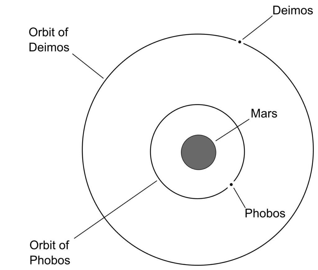 Oběžné dráhy měsíců Phobos  a Deimos. Zdroj obrázku:    Muskid, CC BY-SA 3.0 , via Wikimedia Commons
