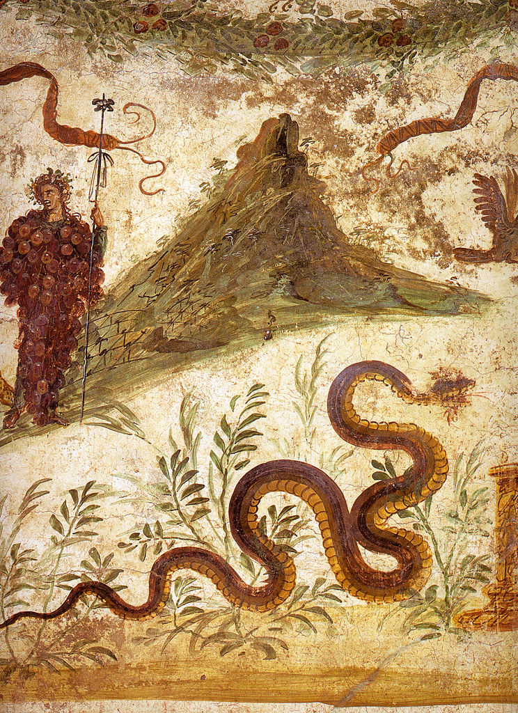 Božstvo polí a vinic Agathodemon a ochranný genius loci Vesuvu v podobě hada. Zdroj obrázku:  WolfgangRieger, Public domain, via Wikimedia Commons

