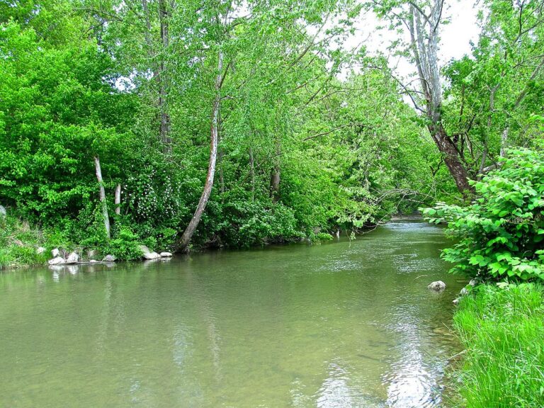 V okolí jezera je řada říčních toků, který by například zatoulanému aligátorovi usnadnily přesun do jezerních vod. Zdroj foto: Brian Stansberry, CC BY 4.0 <https://creativecommons.org/licenses/by/4.0>, via Wikimedia Commons