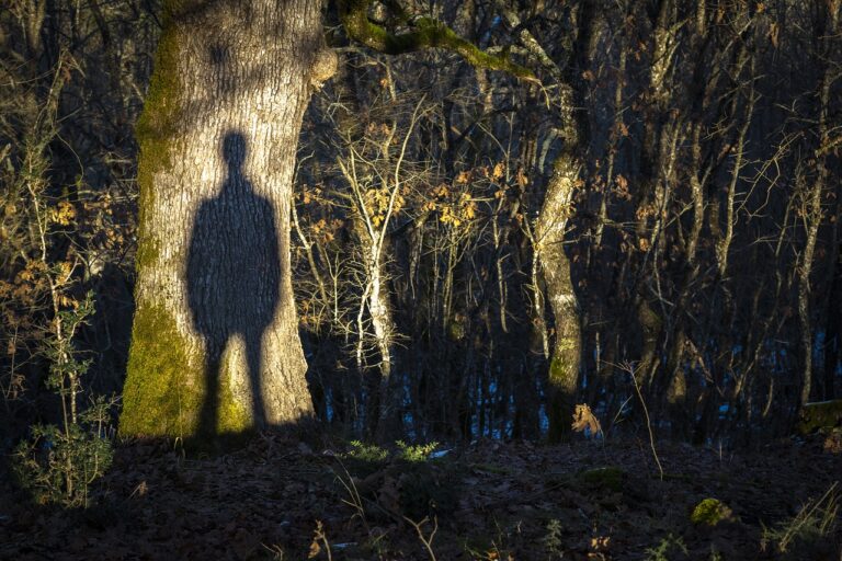 Dívku pozorovala jakási stínová postava, foto Pixabay