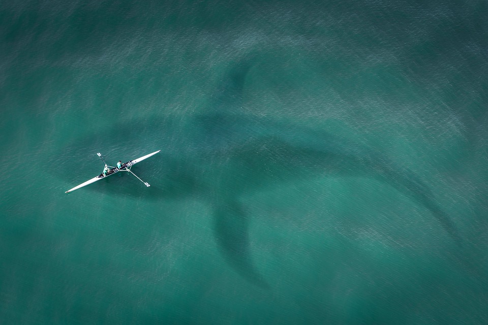 Byl tento vrcholový predátor silnějším velkým bílým žralokem? A číhá dnes stále v temných hlubinách oceánu? Foto: Pixabay