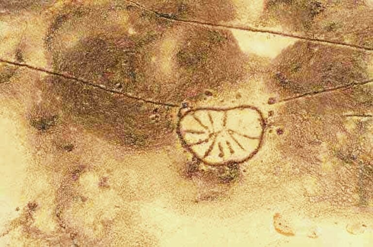 Vypadá to jako améba, ale jde o unikátní snímek jednoho z mnoha geoglyfů, o kterých nemělo novodobé lidstvo ani ponětí... Foto: CNES/Astrium and DigitalGlobe via Creative commons