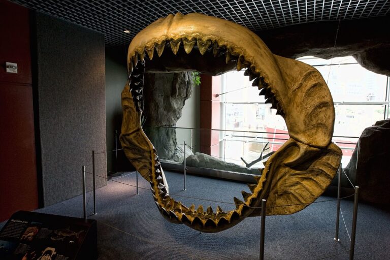 O přítomnosti gigantického žraloka prý svědčí také otisky čelistí na tělech mrtvých lachtanů, foto Serge Illaryonov / Creative Commons / CC BY 3.0
