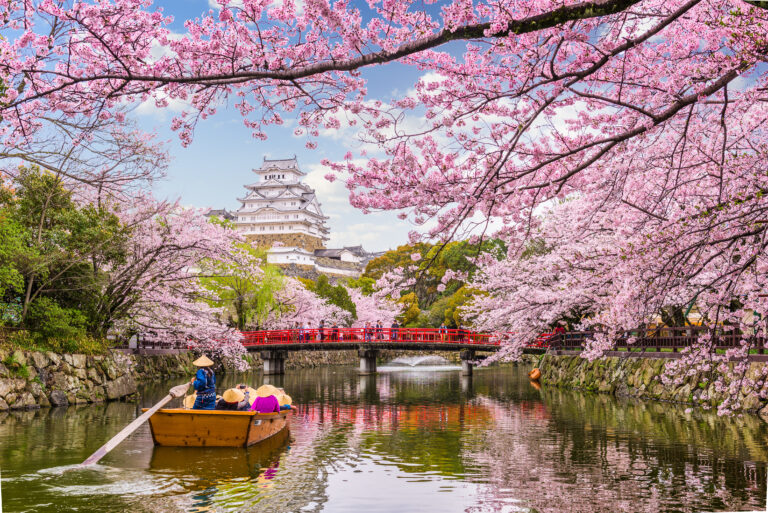Japonsko je krásná země s mnoha tajemstvími. Jsou světla nazývaná hitodama opravdu dušemi zemřelých?