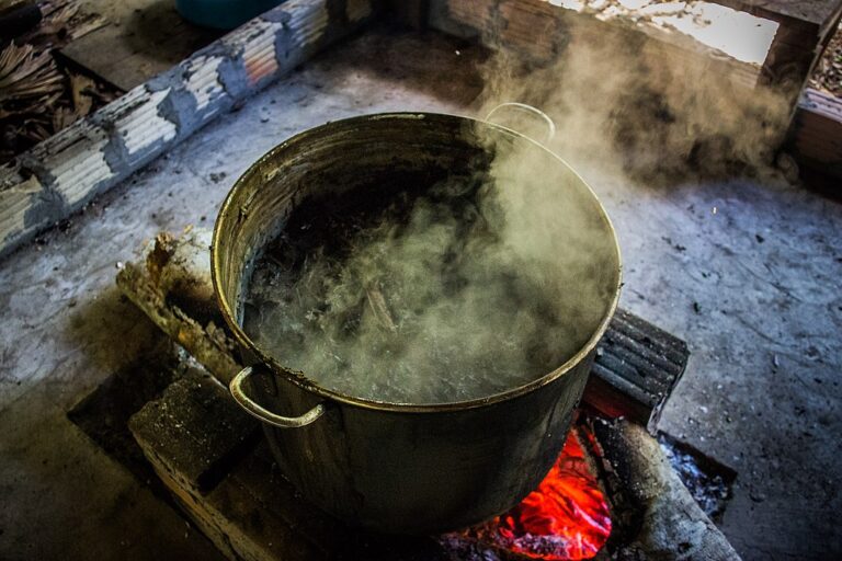 ...A takto se vaří ayahuasca v Peru. Foto: Apollo / CC BY 2.0