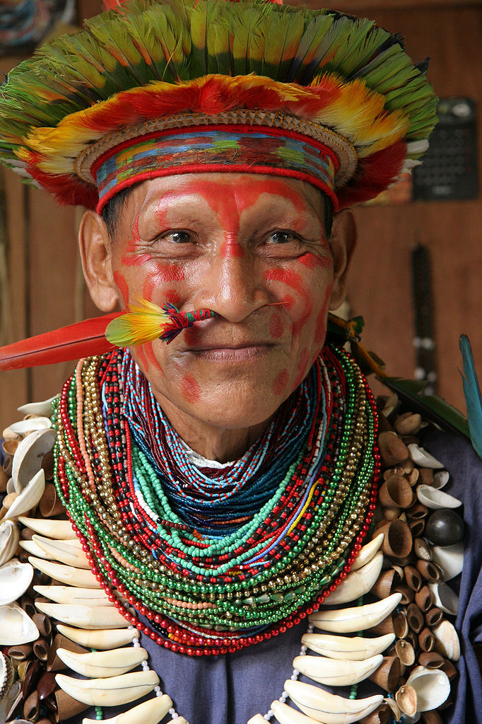 Nejzkušenější, pokud jde o ayahuascu, jsou jihoameričtí šamani. Foto: Veton PICQ / CC BY 1.2