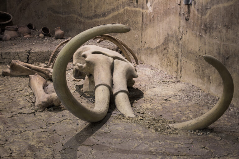 Opravdu mamuti vymřeli?