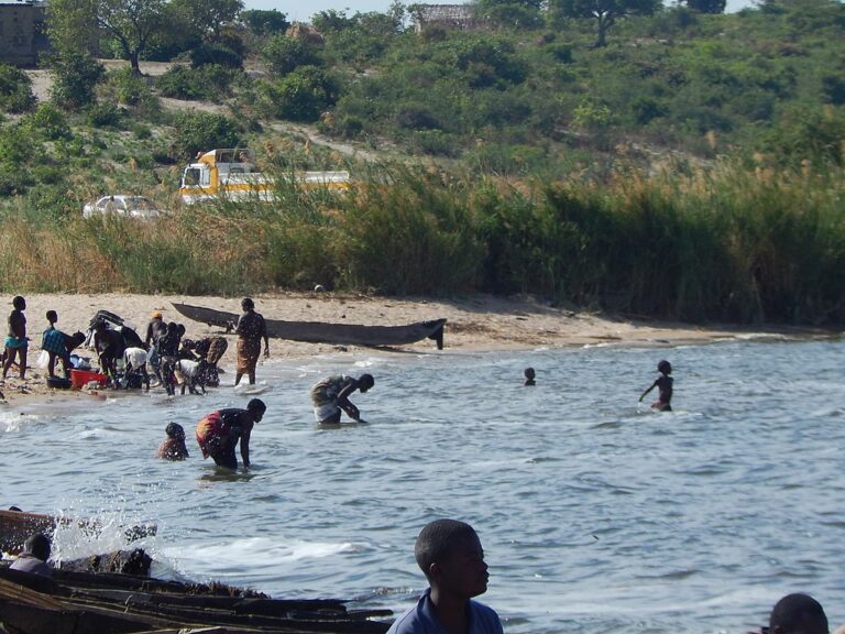Záhadný kryptid z povodí Konga měl prý na svědomí pokles populace hrochů v jezeře Bangweulu. Pro lidi žijící u jezera však nebezpečný nebyl. Zdroj foto: Damyna, CC BY-SA 4.0 <https://creativecommons.org/licenses/by-sa/4.0>, via Wikimedia Commons