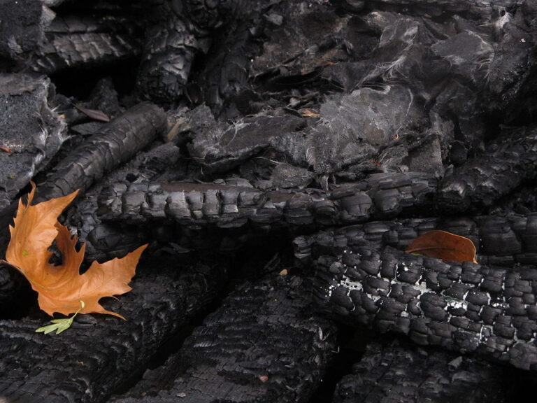 V požářišti údajně nebyly objeveny žádné lidské ostatky. Zdroj ilustračního fota: Richard Wallace, CC BY-SA 3.0 , via Wikimedia Commons