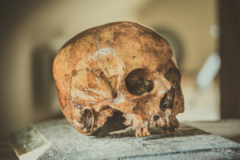 Jediný skutečný hrob ukrýval pouze lidskou lebku, foto Pixabay