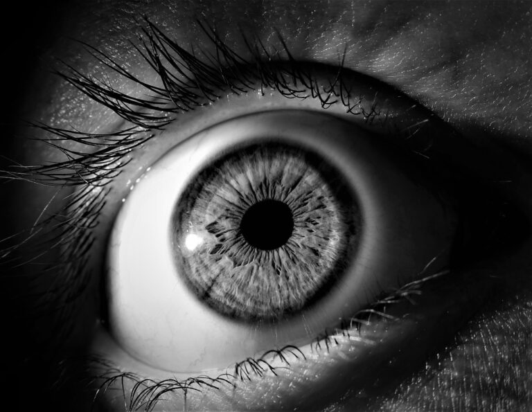 Oko, do duše okno, říká se. Podle lidové víry rozšířené po celém světě jsou ale oči také nebezpečnou zbraní. Foto: Pixabay