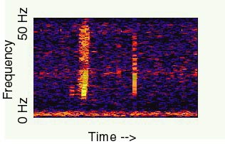 Spektrogram tajemného zvuku Foto: National Oceanic Atmospheric Administration, volné dílo