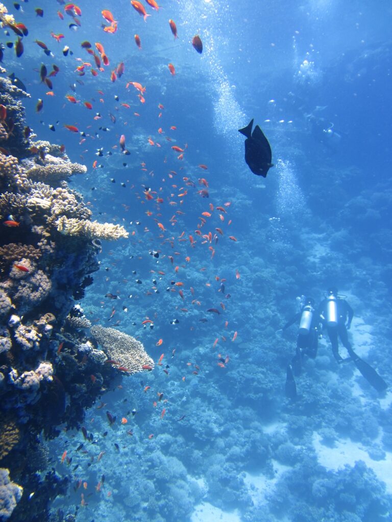 Potápěči dodnes netuší, k čemu se to vlastně potápí. Foto: Pixabay